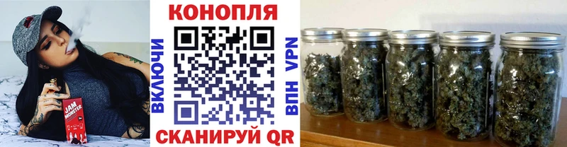 Бошки марихуана THC 21% Котлас